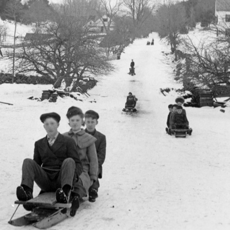 sledding on Timson Hill