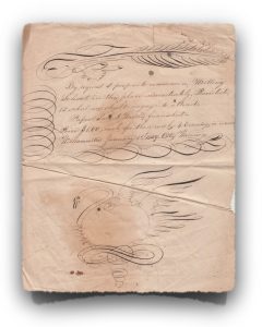 handwritten document with doodle of swan